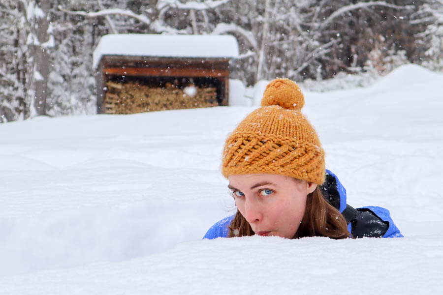 Carolyn Foraging for Snow
