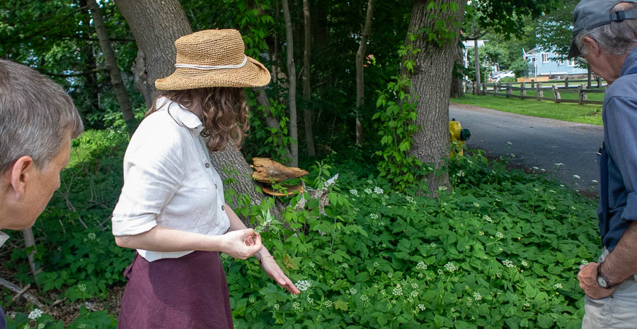 Carolyn teaching a class on edible garden weeds