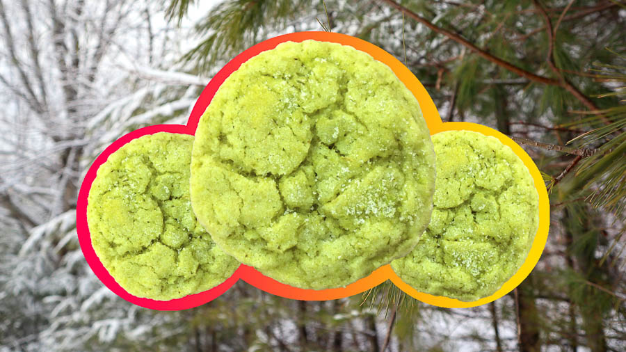 Pine Needle Sugar Cookies